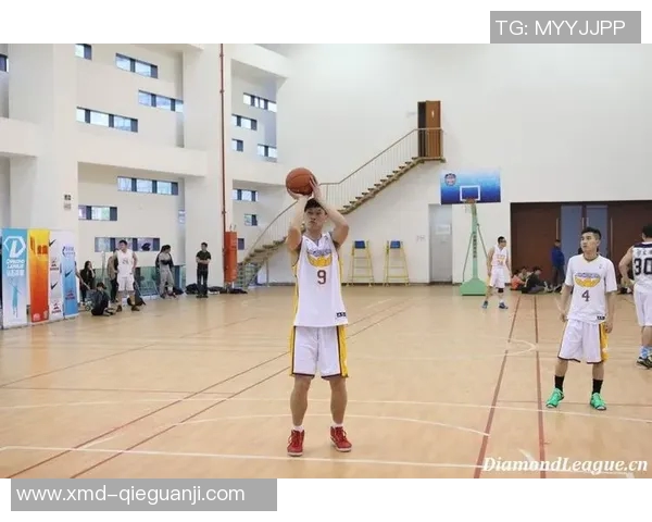 南京排球队在钻石联赛中的技术表现分析与未来发展展望