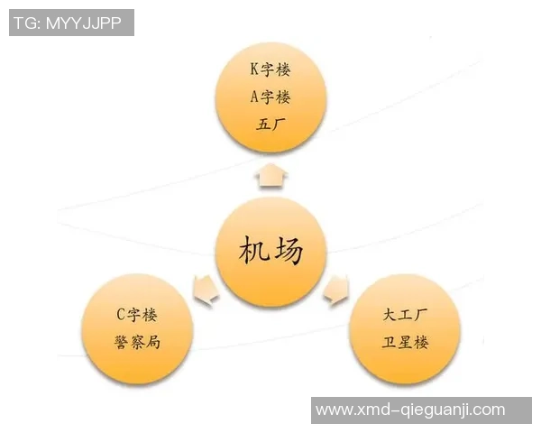 独家分析：V5的实力对比