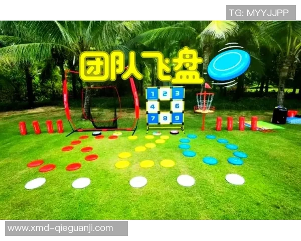 飞盘深度:解密成都飞盘队的边路渗透