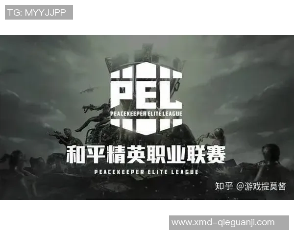 2026和平精英战术排行榜：RNG位居第3名